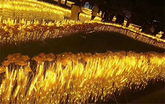 澳海澜庭梦幻灯光节10